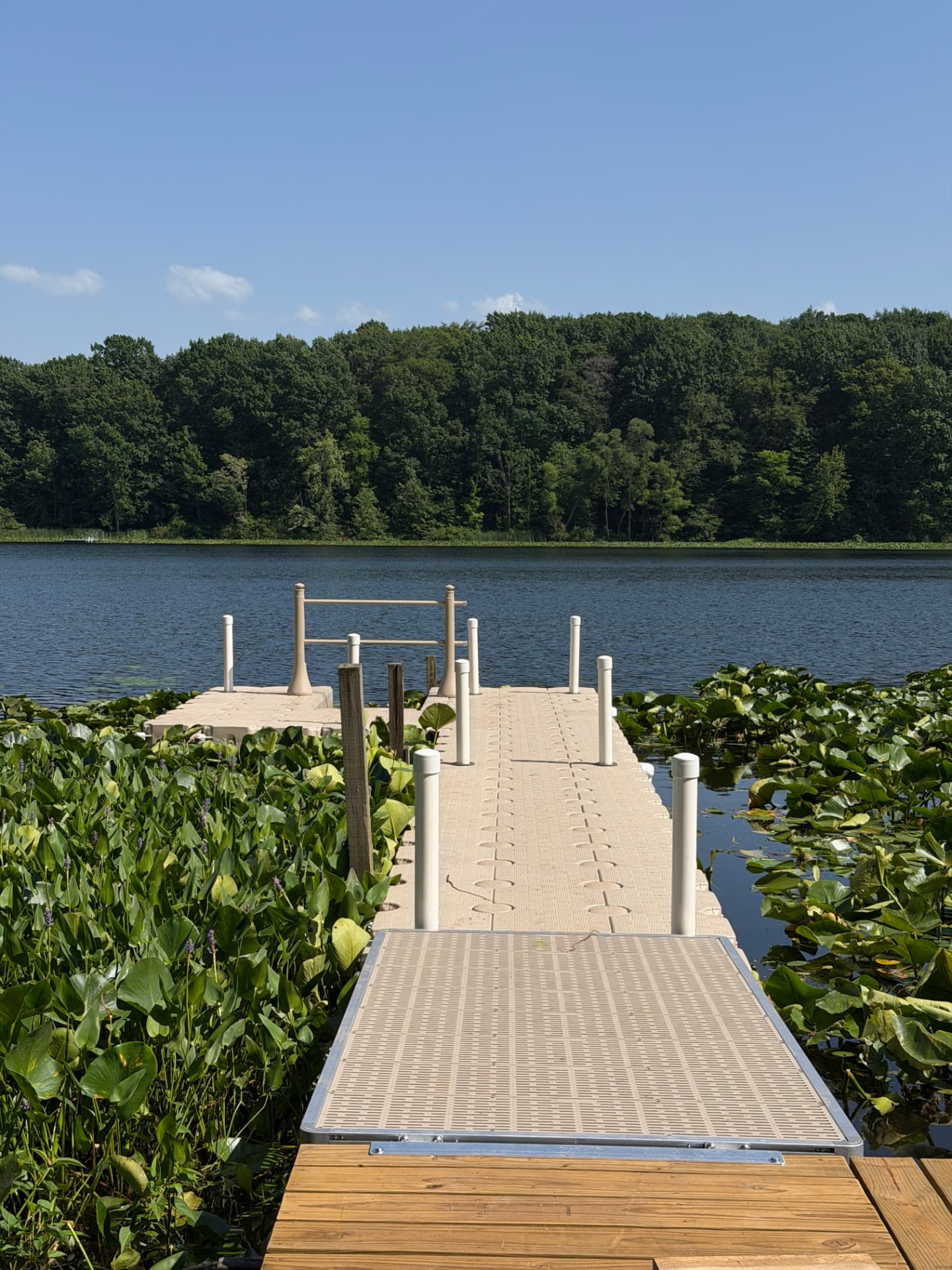 CanDock floating dock running out through lily pads to a platform with railing